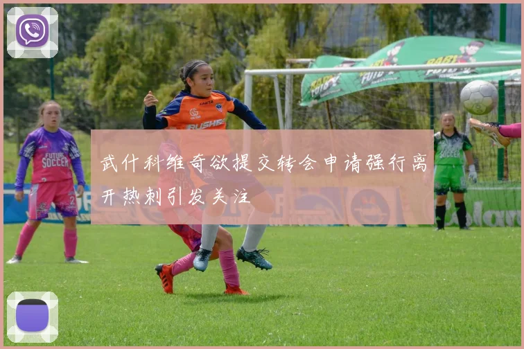 武什科维奇欲提交转会申请强行离开热刺引发关注