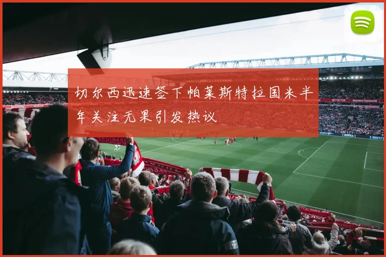 切尔西迅速签下帕莱斯特拉国米半年关注无果引发热议