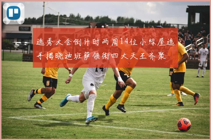 选秀大会倒计时两周14位小绿屋选手揭晓迪班萨领衔四大天王齐聚