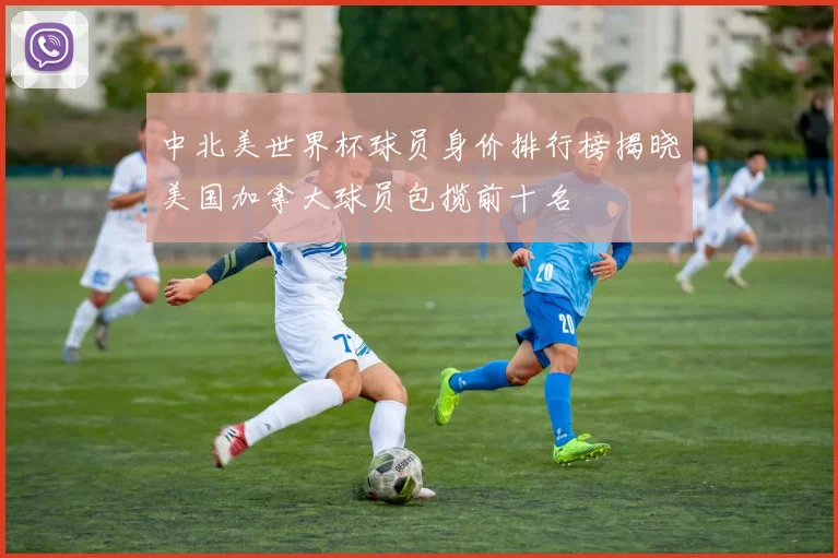 中北美世界杯球员身价排行榜揭晓美国加拿大球员包揽前十名